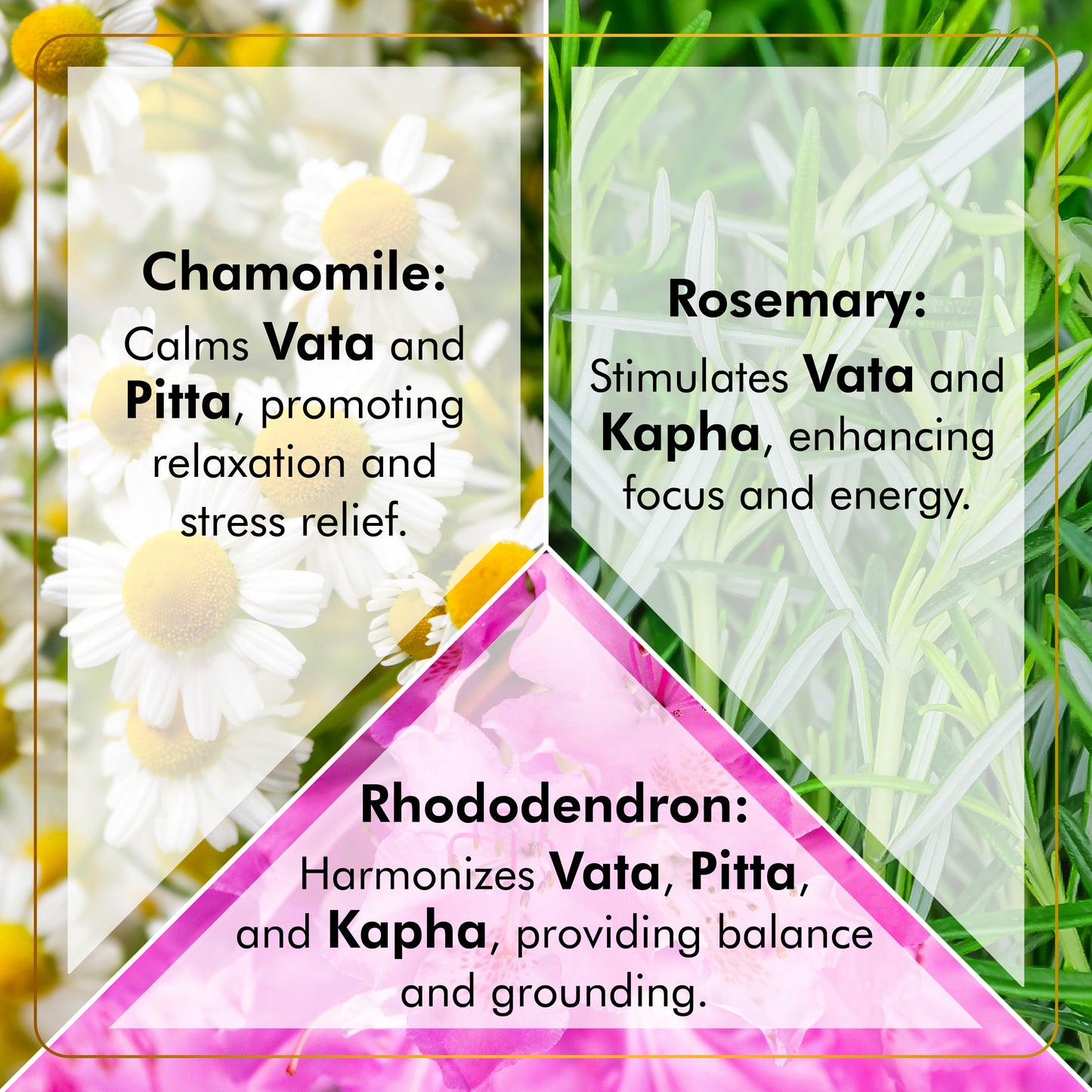 Chamomile Rosemary Rhododendron Tea