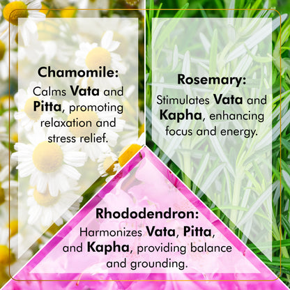 Chamomile Rosemary Rhododendron Tea