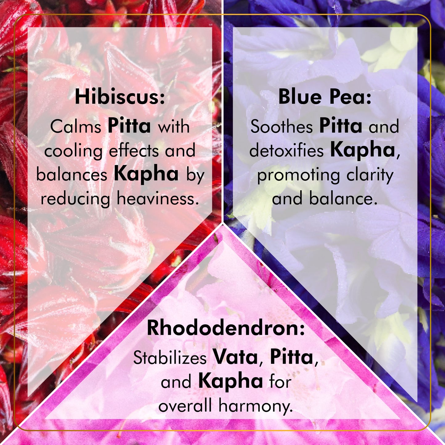 Hibiscus Blue Pea Rhododendron Tea