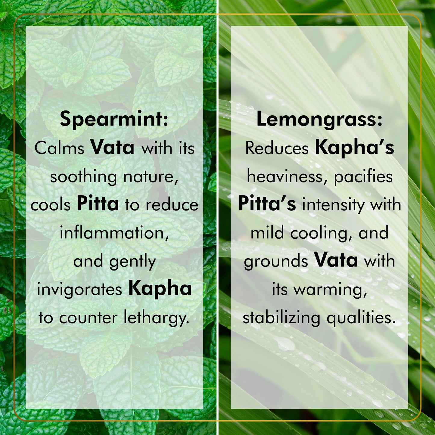 Spearmint Lemongrass