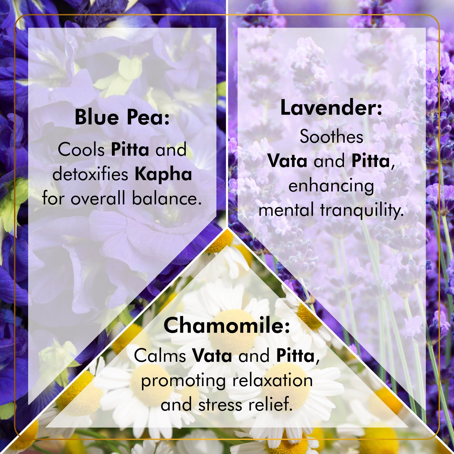 Chamomile Blue Pea Lavender Tea